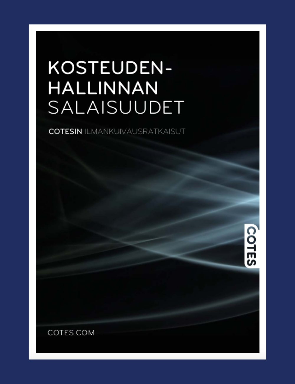 Kosteudenhallinnan salaisuudet e-kirja